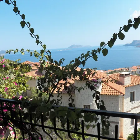 In House (adults Only)