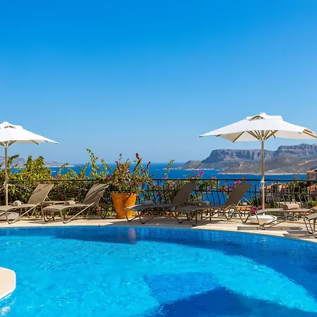 In House (adults Only) *