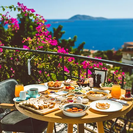 In House (adults Only) Auberge de jeunesse *