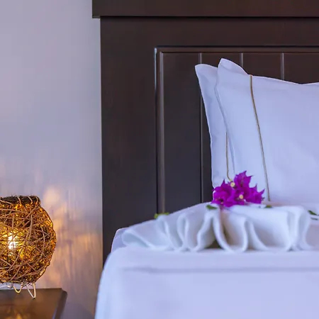 In House (adults Only) Auberge de jeunesse Kaş