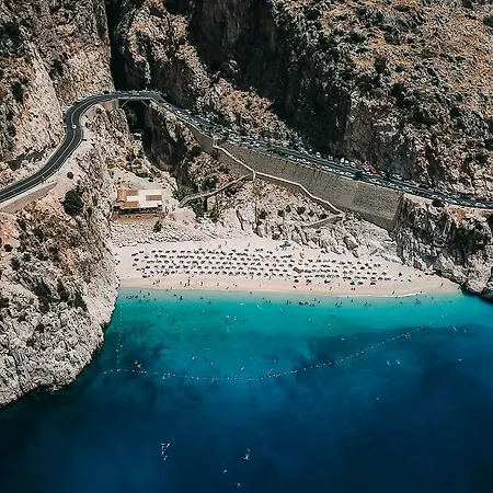 In House (adults Only)