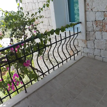 In House (adults Only) Hostel