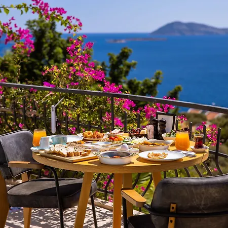 Ostello In House (adults Only)